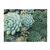  Chronicle Books Succulent Garden 2- Sided 500- Piece Puzzle - Demo